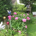 Steinbauer * Opfenbach